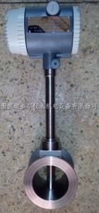 LUGB2406CP5涡街流量计,脉冲信号输出,汉字显示,DN65蒸汽流量计
