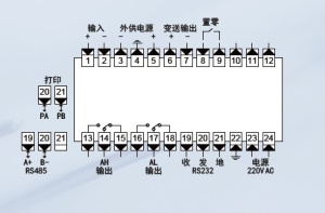 DTR900Y转矩测控仪,配接脉冲输出的传感器,2点报警,变送显示仪