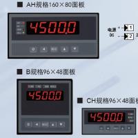 XSB2E力值显示控制仪  1点开关量 置零、峰值、谷值 智能显示仪