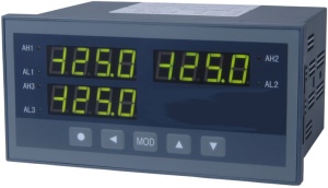 XSD4/2两通道仪表,0.2级精度,2路测量输入,160*80*105显示仪