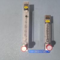 常州双环LZB-10 /LZJ-10新款/老款玻璃转子流量计 带调节阀浮子流量计