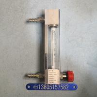 常州双环LZB-6F/LZJ-6F防腐玻璃转子流量计 带调节阀玻璃管浮子流量计