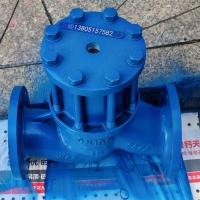 DN100法兰式流量计平衡阀，DN50 DN65 DN80定量控制系统专用平衡阀